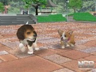 Nintendogs: Shiba & Friends [DS]