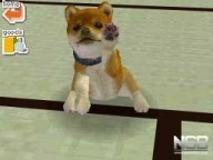 Nintendogs: Shiba & Friends [DS]