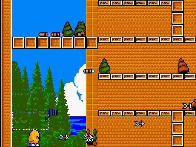 Retro Review de The NewZealand Story 3