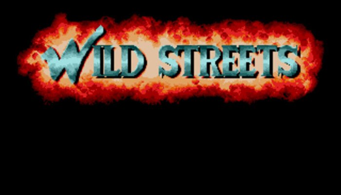 Retro Review de Wild Streets